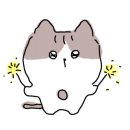 파파존스피자 대구수성점 이미지