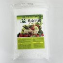대성야채;과일