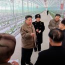 김용수농장 이미지