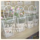 남양주월산초등학교(병설) | 유치원 원예수업 &amp; 기업 원예치료 프로그램 로즈마리 화분 만들기 (feat. 식목일 행사) 🌿