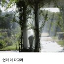 Y-014 | 언더 더 파고라 디스커버리 내돈내산 솔직후기