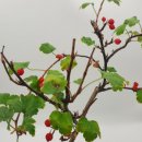 달림농장 이미지