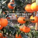 온새미영농조합법인 이미지
