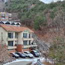 숲속의바다 바다동 이미지