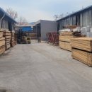 행복한나무 이미지