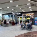 유명카 | 목포 여행 코스 추천 목포해상 케이블카 북항-고하도 왕복 후기