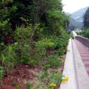 어상천 어린이집 이미지