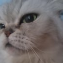 금수토목