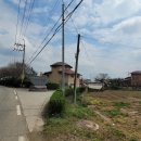 왕전목장 이미지