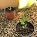 승수농장 이미지