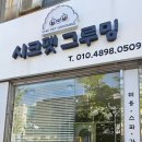 시크펫 그루밍 이미지