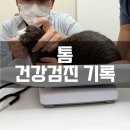 조이앤동물병원 | [진료기록] 첫째 톰 9살 건강검진 기록! - 조이앤동물병원