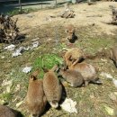 청조환경(주) 이미지