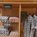 여름 훗카이도 료칸 여행 조잔케이 하나모미지 온천(2)