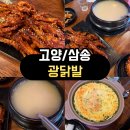 광닭발 | <고양/삼송> 삼송신원동 닭발맛집 광닭발 추천 이유, 직화뼈닭발 솔직후기