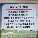 중국연변양꼬치샤브샤브 | [부천 시청역 맛집] 양꼬치 무한리필 전문점 구가네 양꼬치 샤브샤브 무한리필 후기