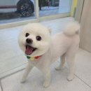 이웃집 메리 이미지