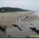 태안해변길 천시길구간(장애인탐방구간) : 삼봉해변~기지포해변 이미지