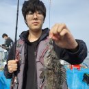 바하호 이미지