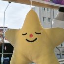 동인동물병원 | 2025 K핸드메이드페어ㅣ 아블로에 참가 후기ㅣ그리고 홈부츠