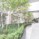 롯데골드부동산중개 이미지