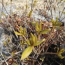 갈매천변 이미지