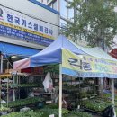 매일청과상회 네이버블로그