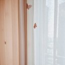 동탄커튼샵 이미지
