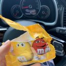 M&M 소프트 이미지