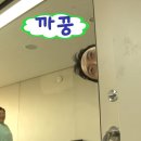 보연다방 - 경주시 북부리1길 8 | 위기종말사랑