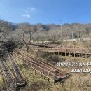 양대박전승지 이미지