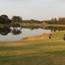 사파이어 골프 이미지