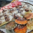 웰빙포차 | [마산맛집,창원맛집]마산 삼계 웰빙포차, 새조개샤브샤브와 분위기까지 완벽한 해산물집