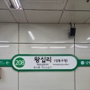 핏제리아 달 포르노 | [핏제리아 달포르노] 왕십리 독특한 화덕피자 맛집 혼밥 후기