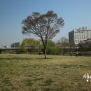 야탑2동 주민센터 이미지