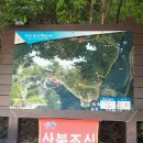 2024.08.10. 양각산(통나무휴게소~우각산~양각산~삼사당 3.09km 2h30m)..황산벌산악회.. 이미지