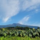 (주)가나안아이티 | 인생의 영적 전환점 행7:20~23절