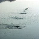 물수제비 이미지