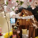 밤비노(소규모) 이미지