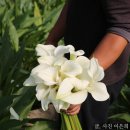 고창근농장 이미지