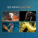 H2023 이미지