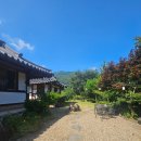 하동애견