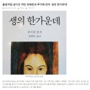 불꽃처럼 살다간 여인 전혜린과 루이제 린저 &#39;생의 한가운데&#39; 이미지