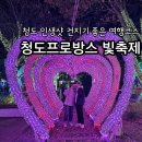 프로방스 포토랜드 | 청도 프로방스빛축제 크리스마스 트리 포토랜드 야경 구경후기
