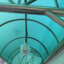 F-2 | 미국준비 | 미국대사관 F-2 비자 후기