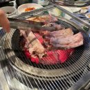 뼈대일주 이미지