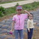 은비농장 이미지