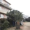 해안성 민박 이미지