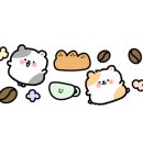 카페위즈 이미지