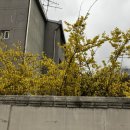 그랑데약국 이미지